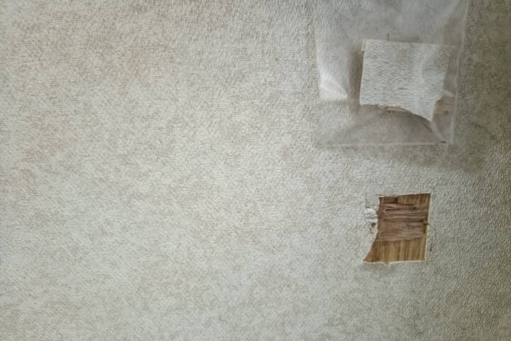 某住宅改装工事の調査写真