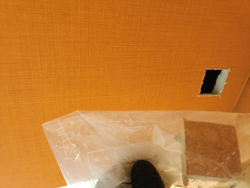 某遊戯施設解体工事の調査写真