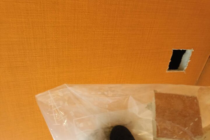 某遊戯施設解体工事の調査写真