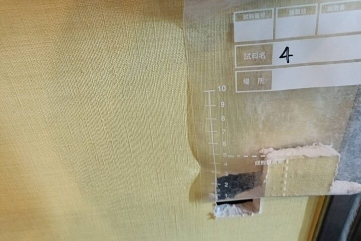 某遊戯施設解体工事の調査写真