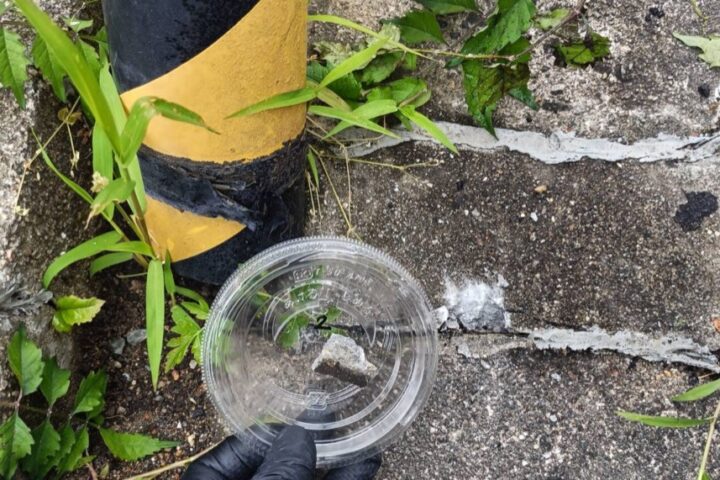 某電柱撤去工事の調査写真