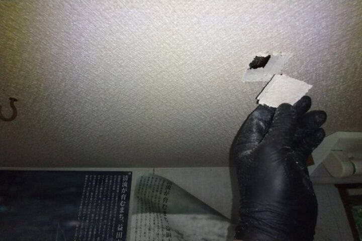 某事務所改修工事の調査写真