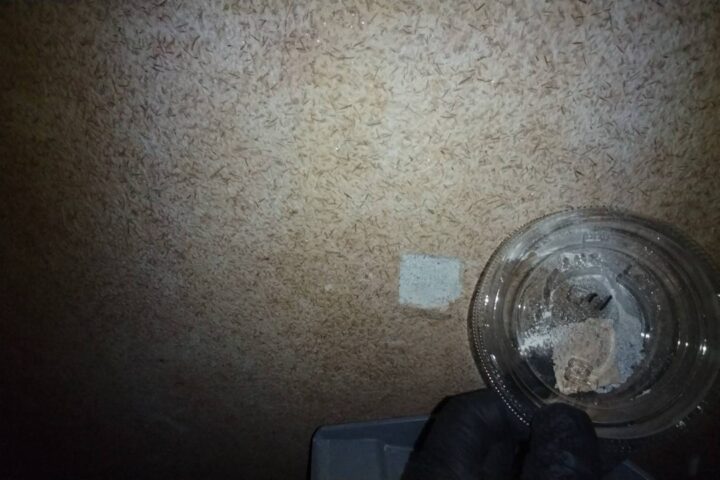 某会館解体工事の調査写真