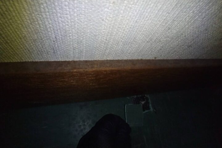 某会館解体工事の調査写真