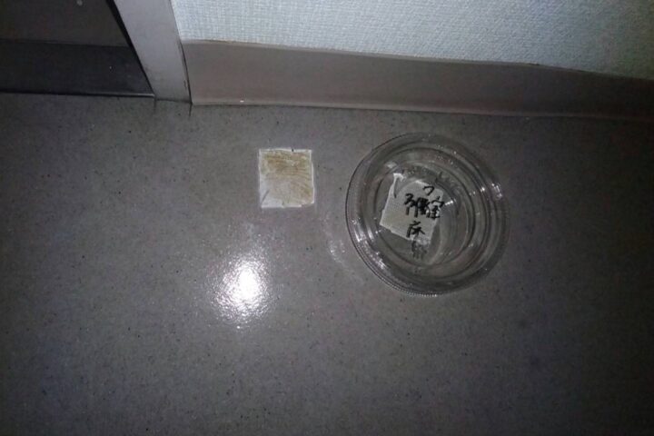 某商店改修工事の調査写真