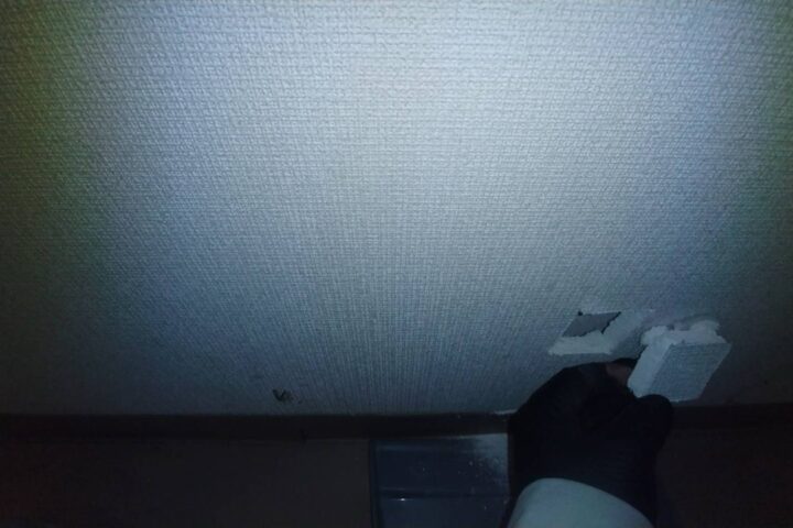某商店改修工事の調査写真